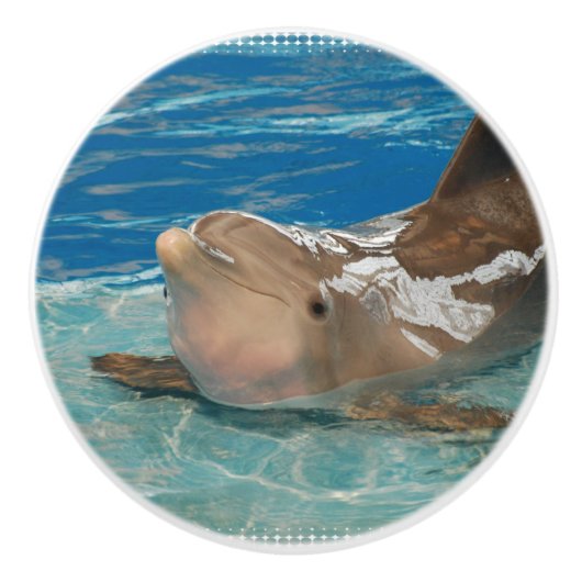 Balancierender Delphin Keramikknauf (Vorderseite)