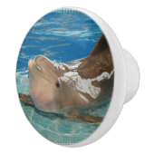 Balancierender Delphin Keramikknauf (Rechts)