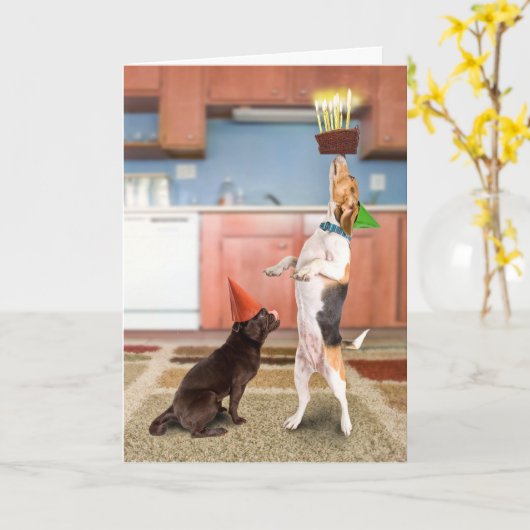 Balancierender Kuchen Karte (Gelbe Blume)