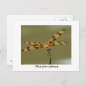 Balancierte Libellenpostkarte Postkarte (Vorne/Hinten)