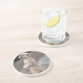 Balancierter Meerkat Untersetzer (Seite)