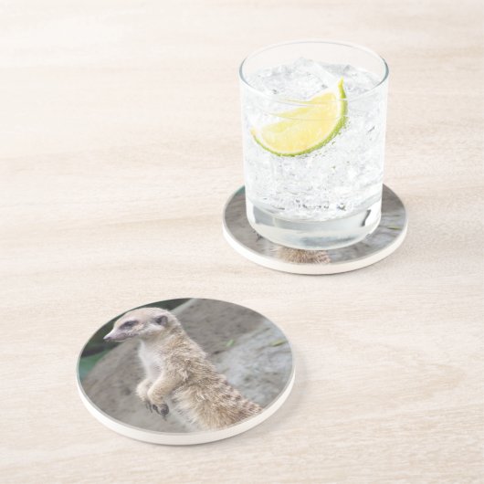 Balancierter Meerkat Untersetzer (Seite)