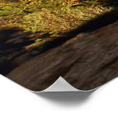 Balancierter Rock Panoramic Poster (Ecke)