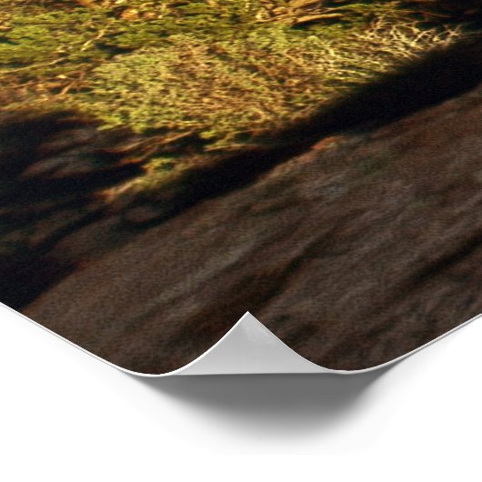 Balancierter Rock Panoramic Poster (Ecke)