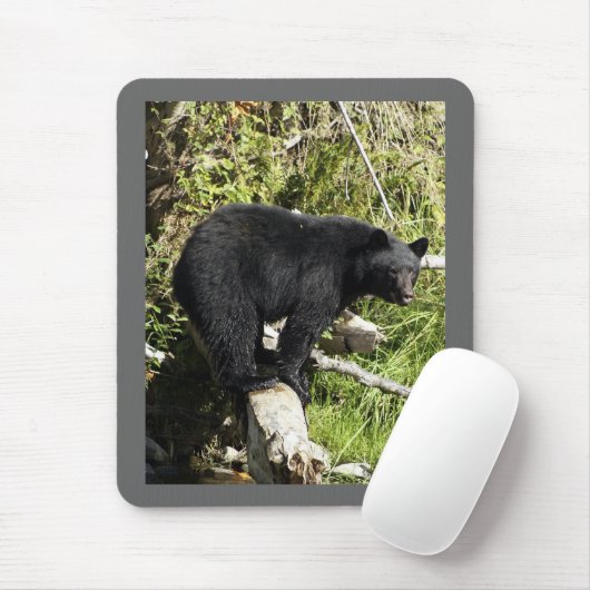 "Balancing Act" Mousepad (Mit Mouse)