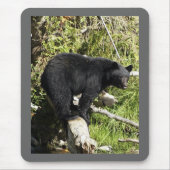 "Balancing Act" Mousepad (Vorne)