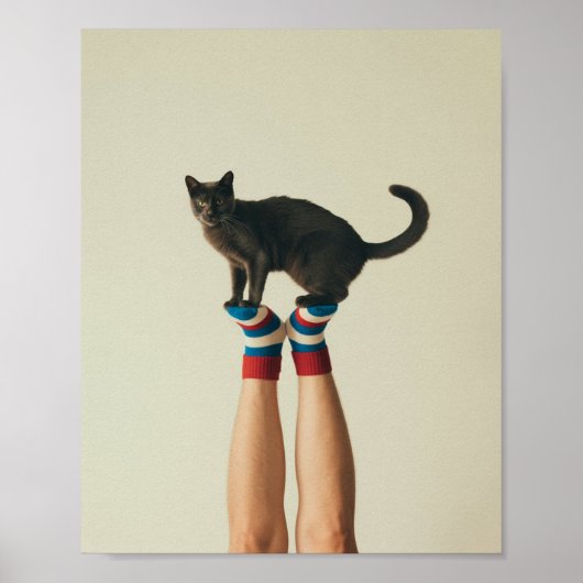 Balancing Cat on Stricksocken, Black Cat Poster (Vorne)