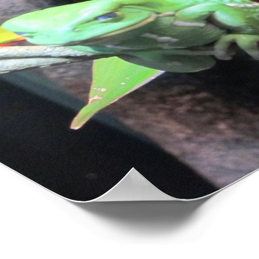 Balancing Frog Poster (Ecke)