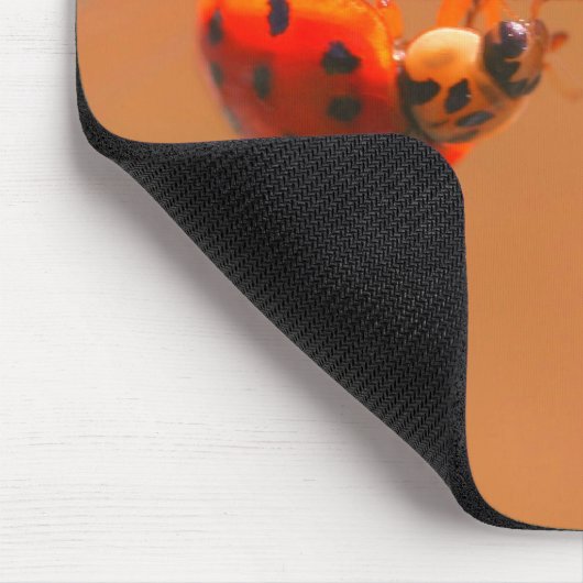 Balancing Ladybugs Nature Mousepad (Ecke)