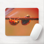 Balancing Ladybugs Nature Mousepad (Mit Mouse)
