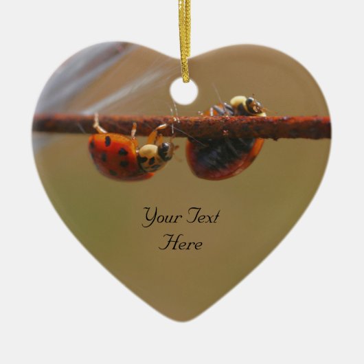 Balancing Ladybugs Niedliche Natur Keramik Ornament (Vorne)