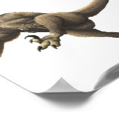 Balaur Bondoc Print Poster (Ecke)