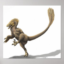 Balaur Bondoc Print Poster