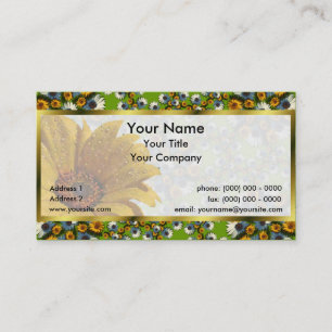 Balboa Pentile windt Fahrwerk jede mögliche Visitenkarte