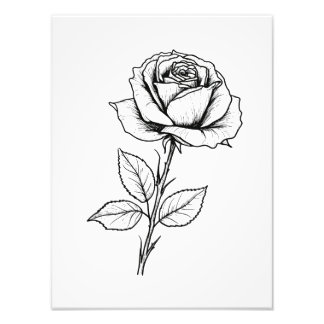 Balck White Rose Line Art Fotodruck