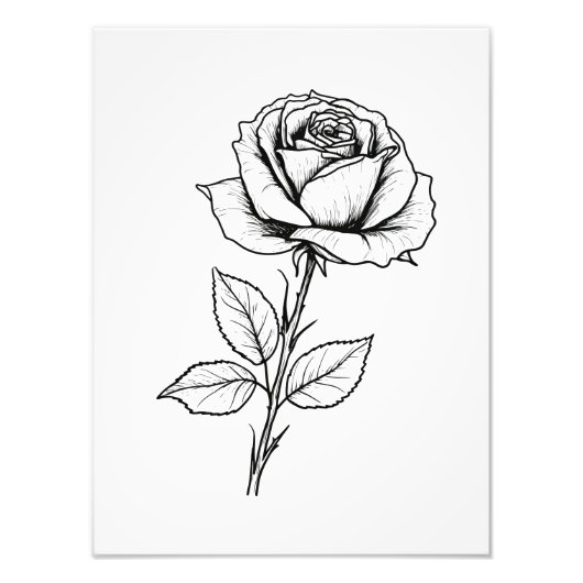 Balck White Rose Line Art Fotodruck (Vorne)