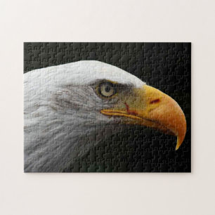 Bald Adler 11x14 252pc jpa Puzzle