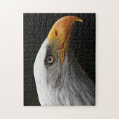 Bald Adler 11x14 252pc jpa Puzzle (Vertikal)