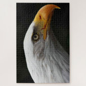 Bald Adler 20x30 1014pc jpcn Puzzle (Vertikal)