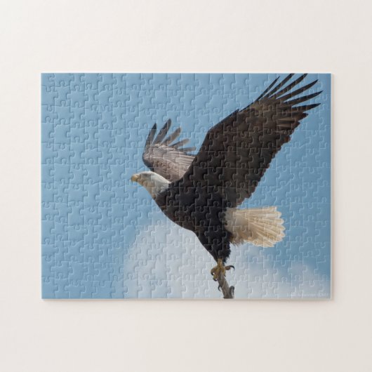 Bald-Adler abheben - Puzzle (Horizontal)