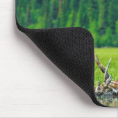 Bald-Adler am Zweig Mousepad (Ecke)