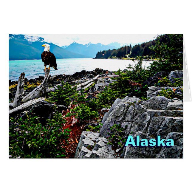 Bald-Adler an der Küste von Alaska (Vorderseite (Horizontal))