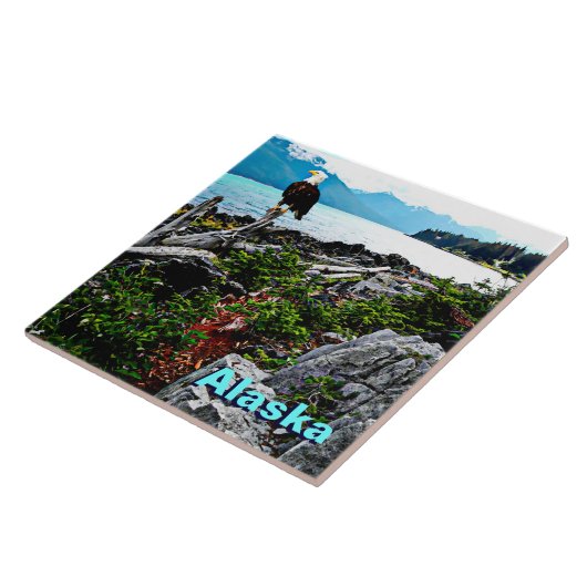 Bald-Adler an der Küste von Alaska Fliese (Seite)