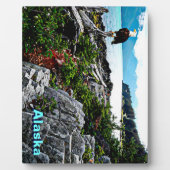 Bald-Adler an der Küste von Alaska Fotoplatte (Vorderseite)