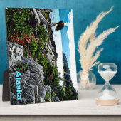 Bald-Adler an der Küste von Alaska Fotoplatte (Seite)