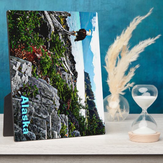 Bald-Adler an der Küste von Alaska Fotoplatte (Seite)