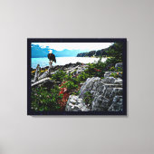 Bald-Adler an der Küste von Alaska Leinwanddruck (Vorderseite)