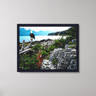 Bald-Adler an der Küste von Alaska Leinwanddruck