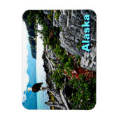 Bald-Adler an der Küste von Alaska Magnet (Vertikal)