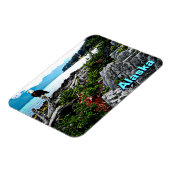 Bald-Adler an der Küste von Alaska Magnet (Linke Seite)