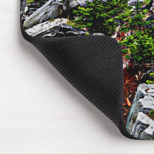 Bald-Adler an der Küste von Alaska Mousepad (Ecke)