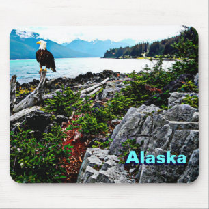 Bald-Adler an der Küste von Alaska Mousepad