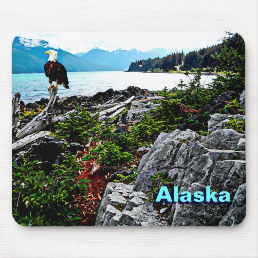 Bald-Adler an der Küste von Alaska Mousepad (Vorne)