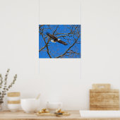 Bald-Adler auf blau Poster (Küche)