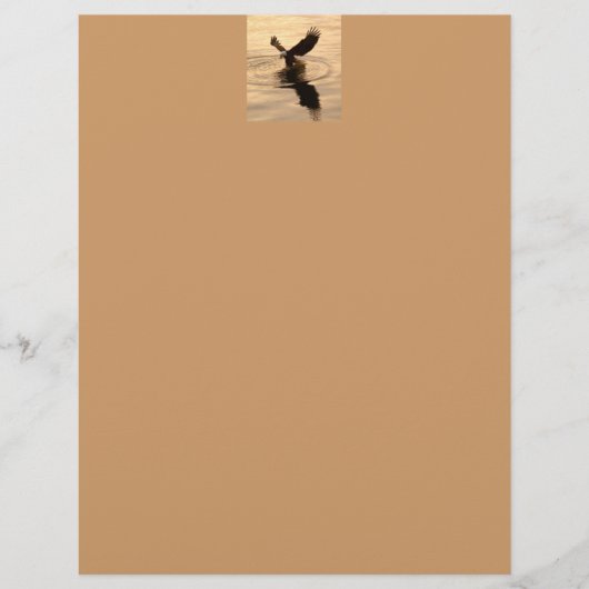 Bald-Adler auf dem Tan-Papier (Vorderseite)
