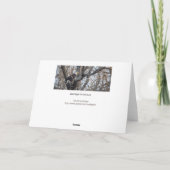 Bald Adler auf der Jagd Karte (Rückseite)