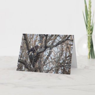 Bald Adler auf der Jagd Karte