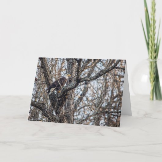 Bald Adler auf der Jagd Karte (Vorderseite)