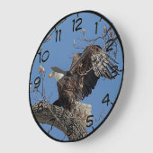 Bald-Adler auf einem Baumzweig Große Wanduhr (Winkel)