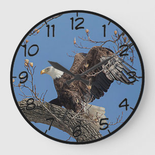 Bald-Adler auf einem Baumzweig Große Wanduhr