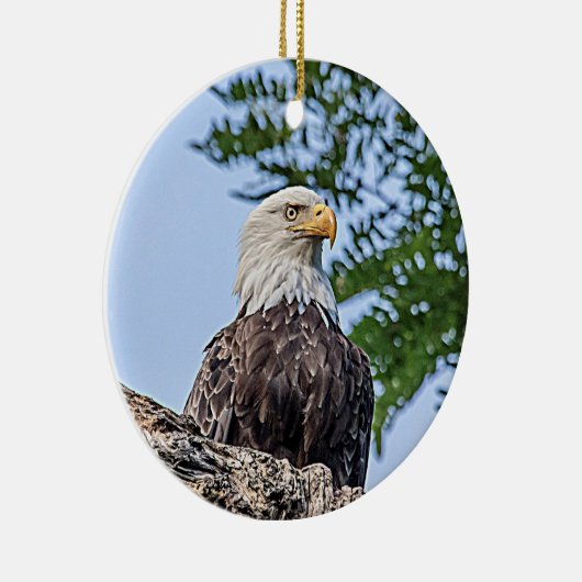 Bald-Adler auf einem Baumzweig Keramik Ornament (Rechts)