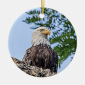 Bald-Adler auf einem Baumzweig Keramik Ornament (Vorne)