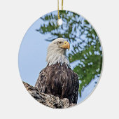 Bald-Adler auf einem Baumzweig Keramik Ornament (Links)