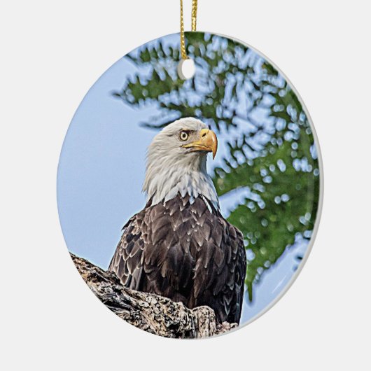 Bald-Adler auf einem Baumzweig Keramik Ornament (Links)