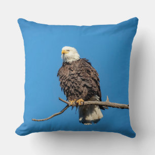 Bald-Adler auf einem Baumzweig Kissen