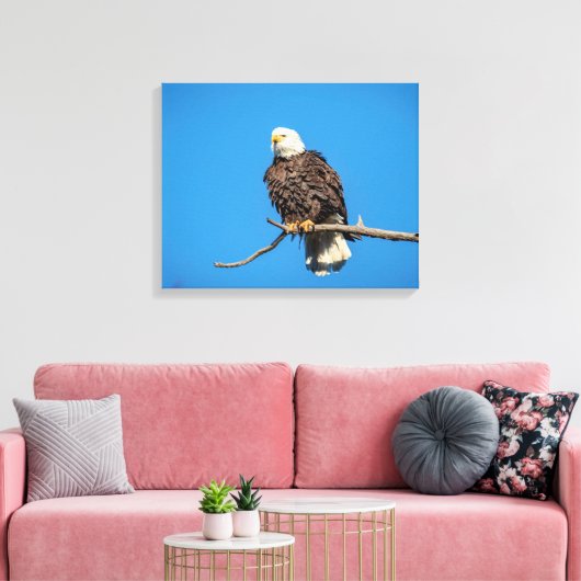 Bald-Adler auf einem Baumzweig Leinwanddruck (Insitu (Wohnzimmer))